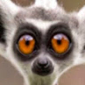 Meet your Posher, Eshanaji